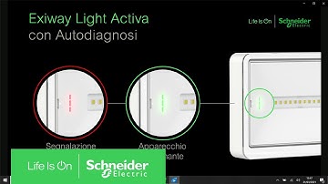Exiway Light Activa (con autodiagnosi) | Schneider Electric Italia