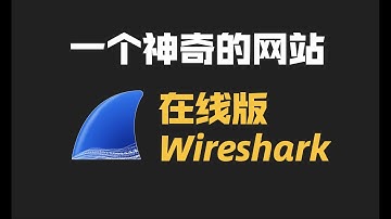 我把Wireshark塞到了浏览器里面，打开网页就能用！
