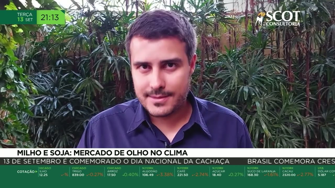 Milho e soja: mercado de olho no clima