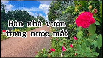 hoàn cảnh éo le đành phải bán nhà vườn tâm huyết của mình ở bà rịa vũng tàu