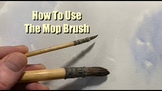 How To Use A Mop Brush For Watercolour