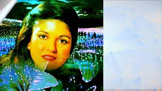 Gülden Karaböcek - Nem Kaldı