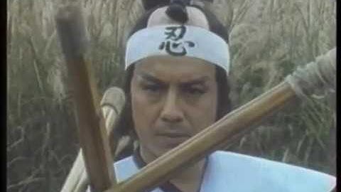 Wu Tang Collection  Ninja Tiger 2