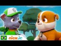 Patrulha Canina | O melhor dia de todos! - parte 1 | Nick Jr. em Português