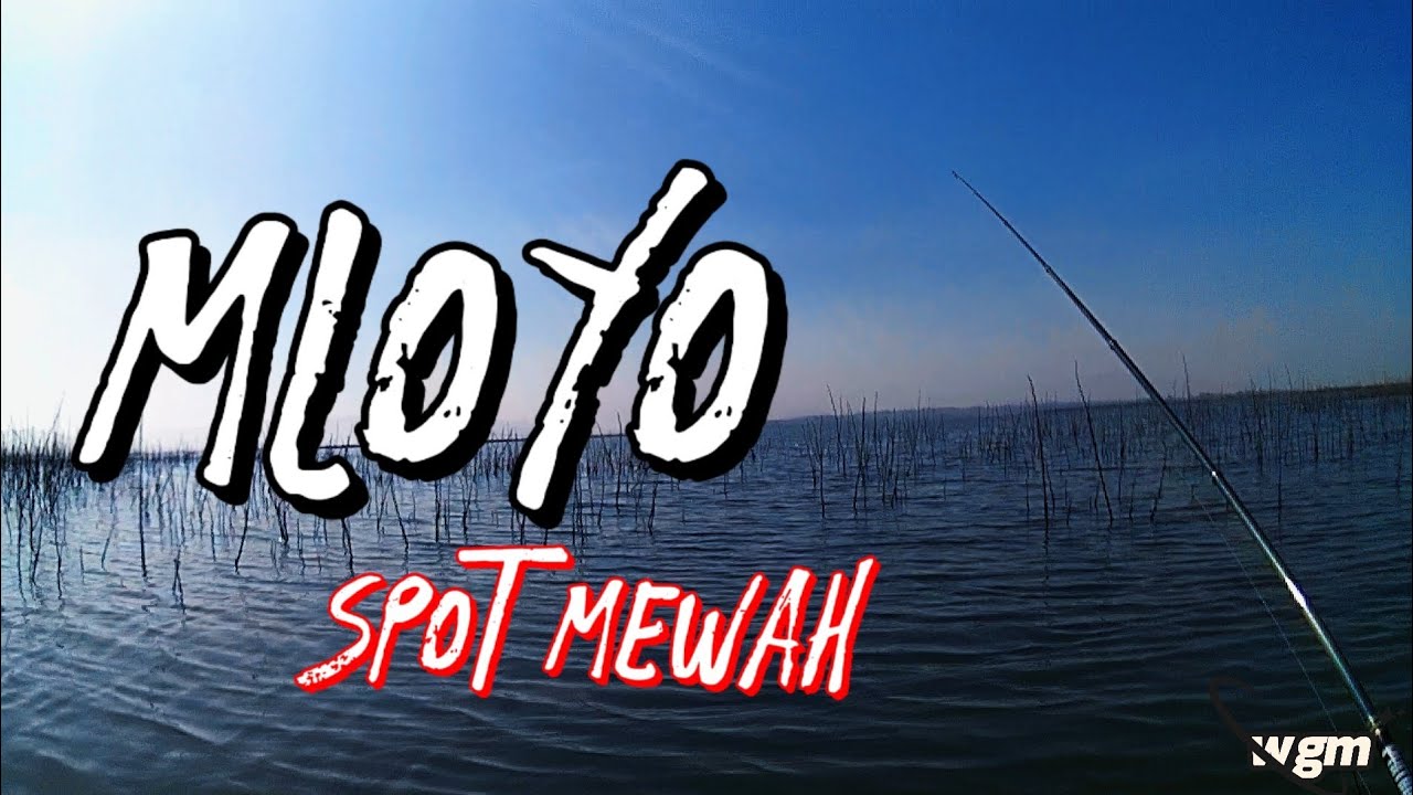 Spot mewah, Ikan..⁉️ Update WGM terbaru 2 September 2025