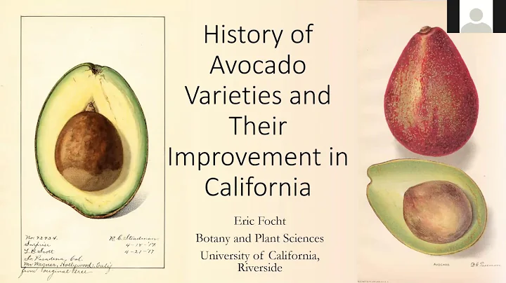History of Avocado Varieties and Their Improvement in California: Virtual Avocado Fest 2020