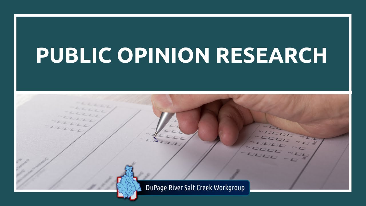 public opinion research