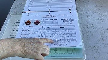 ANFFLA Training - Daily Log Book