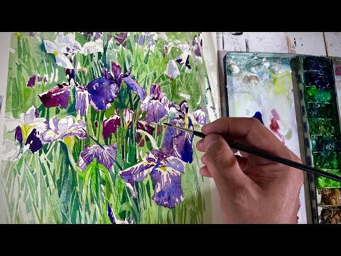 278/【5年目突入！】まったり水彩画。初心者向け！菖蒲を描く。 - YouTube