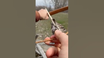 Making a bowstring from wild plants #bushcraft #survival #outdoorskills #primitiveskills #archery
