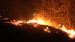 Thousands of homes have been evacuated after a wind-whipped wildfire
exploded overnight in southern california. the fire has burned through
at least 40 squar...