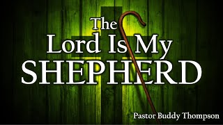 Trusting the Good Shepherd: Provision, Strength, and Protection