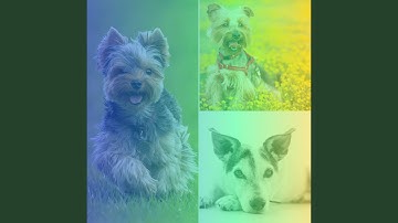 Pulsating Chill Out - Vibe for Keeping Dog Calm