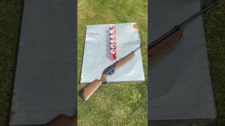 Shooting Coke cans with my Crosman 760 pump master #wildwyatt95
