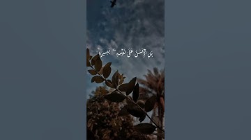 تلاوة رائعة من سورة القيامة #quran