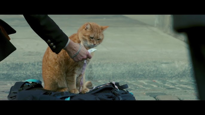 A Street Cat Named Bob - Big Issues - At Cinemas November 4 - Youtube