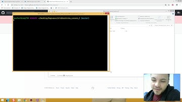 Windows Forms. Label, Button, CheckBox, TextBox, GitHub