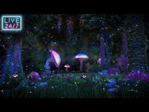 24\7 LIVE Enchanted Forest Ambience ✨🍄 Mystical atmosphere, calming nature sounds & occasional rain.