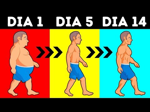 Vídeo: Como Perder Peso: Déficit De Calorias