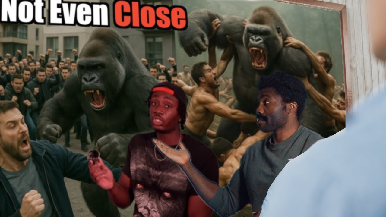 100 Men vs 1 Gorilla: settled - Casual Geographic  | The Chill Zone Reacts