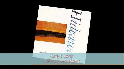 David Sanborn - CARLY'S SONG