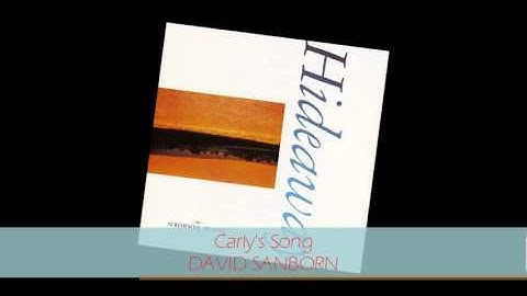 David Sanborn - CARLY'S SONG