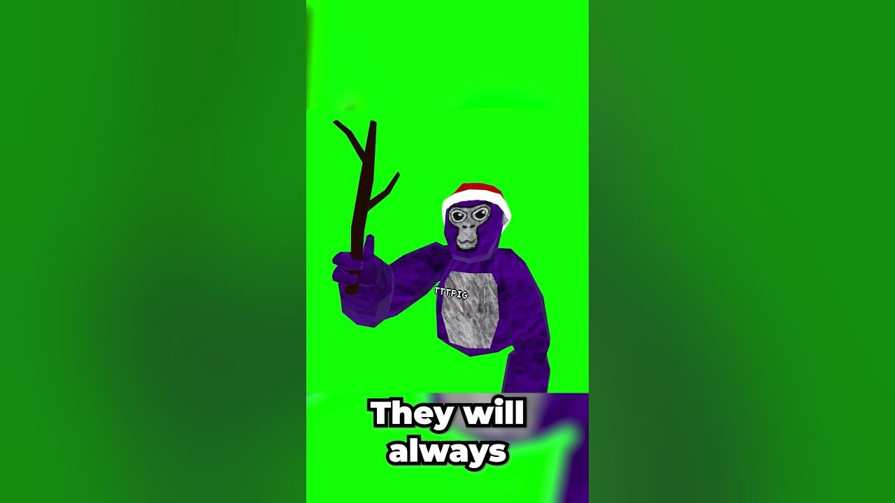What Is TTTPig s Color Code Gorilla Tag shorts YouTube what-is-tttpig-s-color-code-gorilla-tag-shorts-youtube
