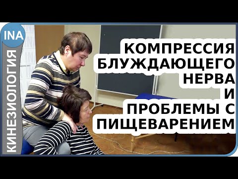 Компрессия блуждающего нерва и плохое пищеварение. Прикладная кинезиология Васильева