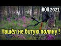 ПОИСК МОНЕТ! Нашёл небитую поляну ! RUTUS Argo NE (РУТУС Арго)