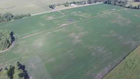 Farm Land Auction Benson, MN  70 +/- acres Wed Sep...