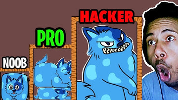 NOOB vs PRO vs HACKER In Puzzle Cats || Subroto Gaming
