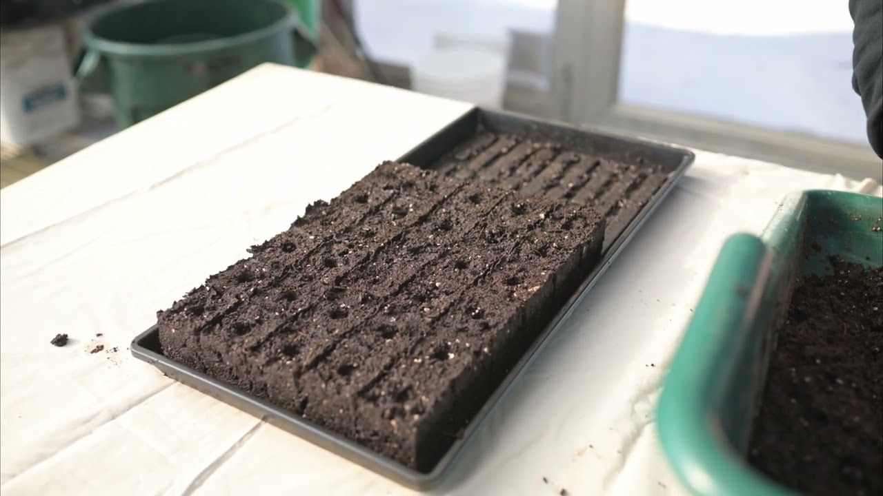 Johnny's Handheld Soil Blocker Set | Johnny's Selected Seeds