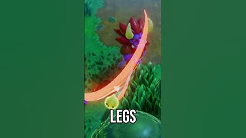 Echoes Of Wisdom Has A LOT Of Enemies