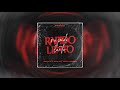 Rapido Lento Remix - Tomy DJ x @nachoradesca1365 @biancalif