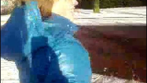 sneeuw + nutteloosheid = awesome filmpje dat nerges op slaat..