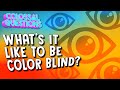 What is it Like to Be Colorblind? | COLOSSAL QUESTIONS