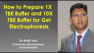 How to Prepare 1X TBE Buffer and 10X TBE Buffer for Gel Electrophoresis
