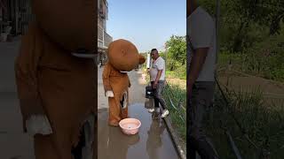 What watermelon do you eat on a hot day, Pippi Bear Funny video #rippibear #viralshorts #trollbear screenshot 4