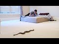 HE PUT A SNAKE IN MY ROOM! CRAZY FREAKOUT!!