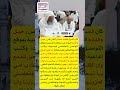 ماذا قال الشيخ محمد حسان عند وفاة والدته ماذا قال الشيخ محمد حسان عند وفاة والدته