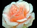marco antonio solis,cuando te acuerdes de mi.wmv