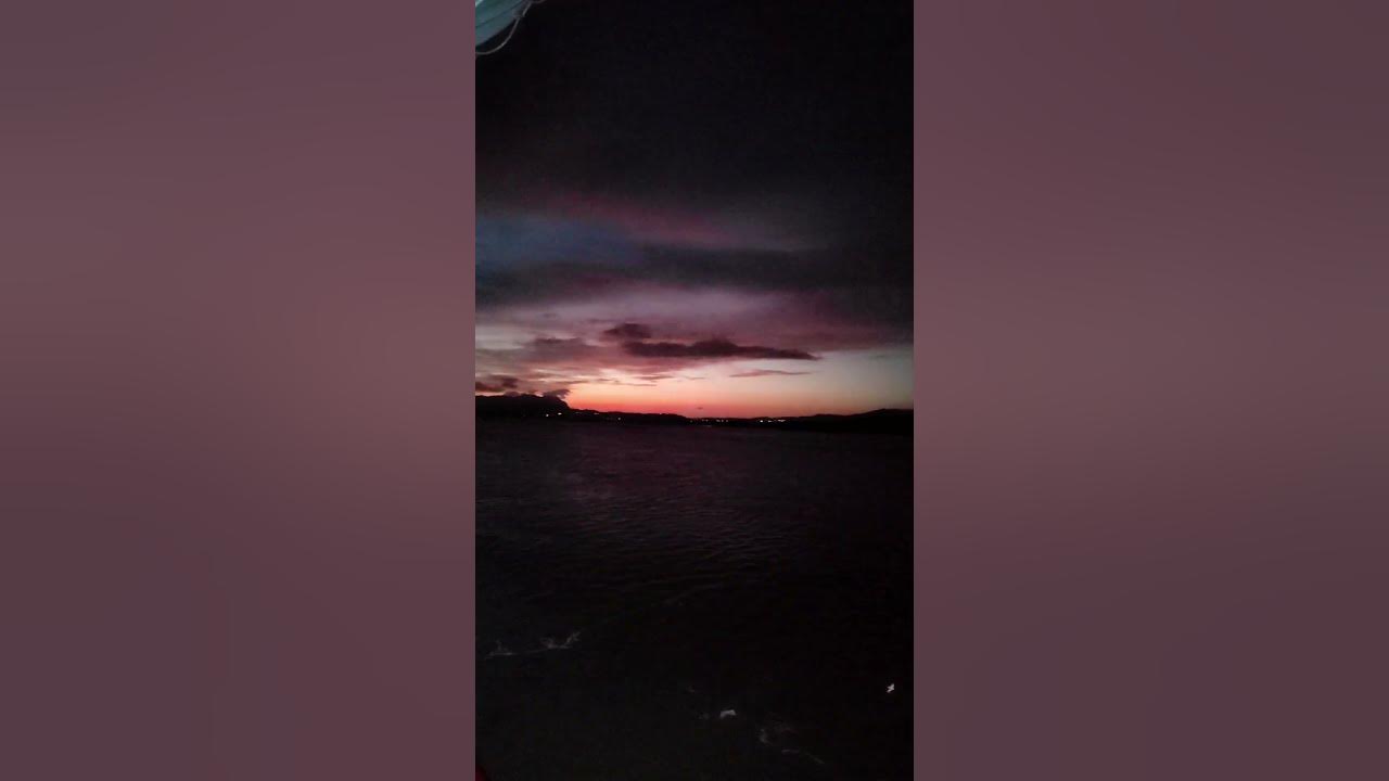 #dawn #music #song #newmusic #love #fishing #lyrics #catchandrelease #mtb