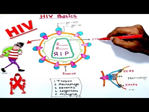 Video: Hvad er strukturen af HIV?