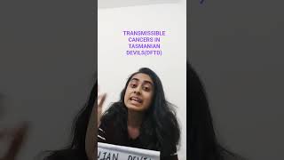 Transmissible cancers - Tasmanian devil facial tumour disease (DFTD)