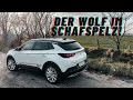 300 PS Wolf im Schafspelz! Opel Grandland X Hybrid 4