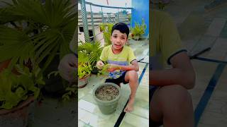 एक एक यद पड लग द Ek Ek Yadhi Ped Lagao