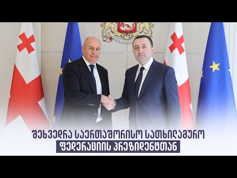 შეხვედრა საერთაშორისო სათხილამურო ფედერაციის პრეზიდენტთან