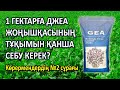 1 ГЕКТАРҒА ҚАНША ДЖЕА ЖОҢЫШҚАСЫНЫҢ ТҰҚЫМЫН СЕБУ КЕРЕК? 2-сұрақ (01-08-2019)