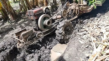 xe công nông câu đẩy chơ chuối cực kỷ khỏe và cai kết