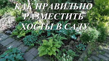 Как правильно разместить хосты в саду